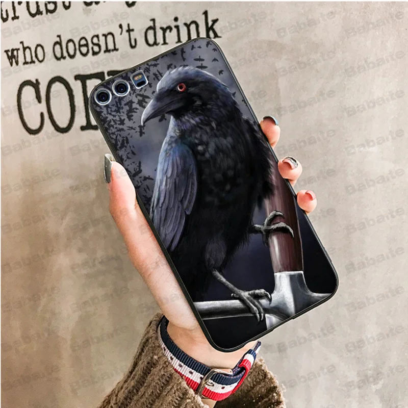 animal crow