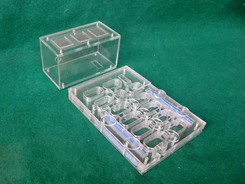 

180x130MM Ant Nest Insect Pet Ant Cage Farm Toy DIY Plastic Acrylic Display Ant Workshop Kids Biological Observation Toys Gifts