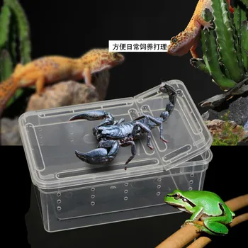 

1PCS Reptile Breeding Box Shougong Box Toy Snake Spider Anti-escape Breeding Box