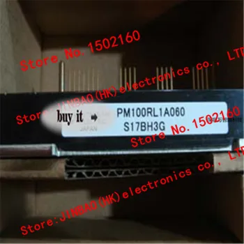 

PM100RL1A060