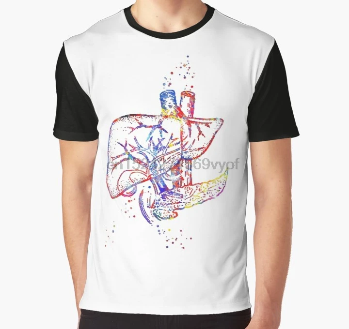 

All Over Print Women T Shirt Men Funny tshirt Liver human organs liver art liver anatomy human liver anatomy Graphic T-Shirt
