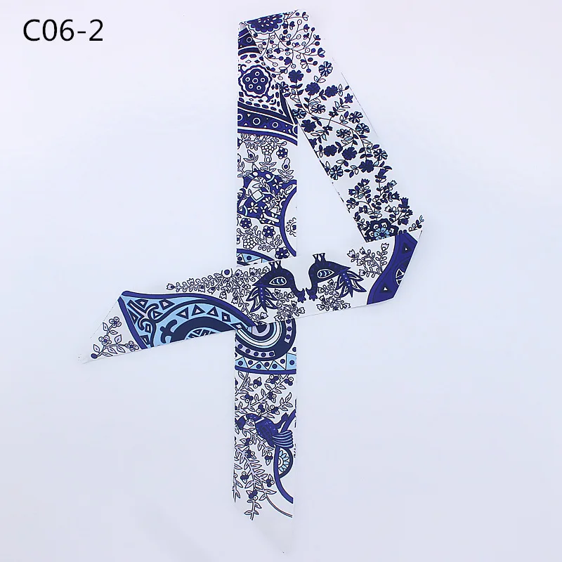 C06 (2)