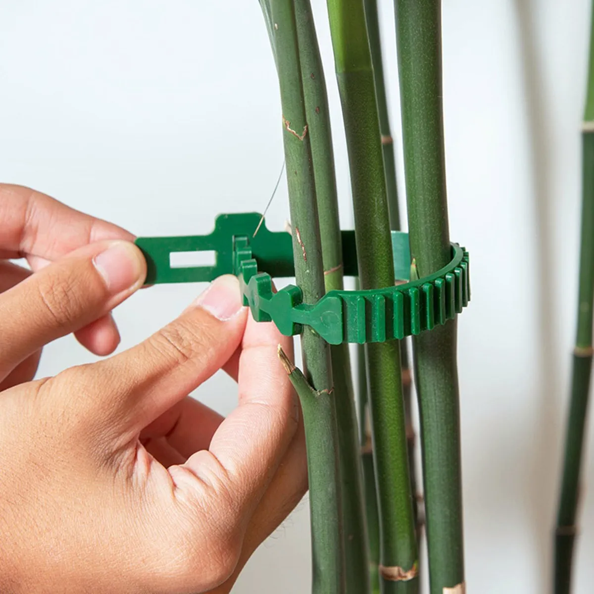 Buy 2Pcs/Set Reusable Garden Plastic Plants Cable Ties