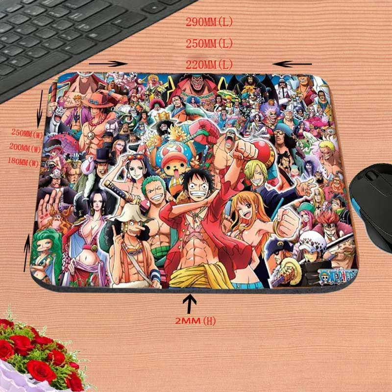 537  one piece