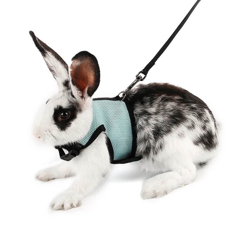 

Beathable Rabbit Duck Dog Harness With Leash 5 Color Puppy Cat Collar Pets Chest Strap Leash Set Pet Harnesses With Leash 1PCS