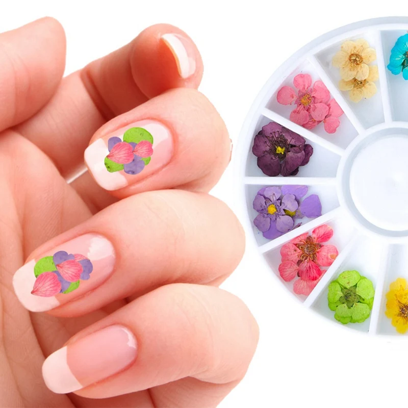 

12 Colors Dried Flower for Nail Art Decorations Natural Real Flowers Dry Stick UV Gel Acrylic Tips Wheel