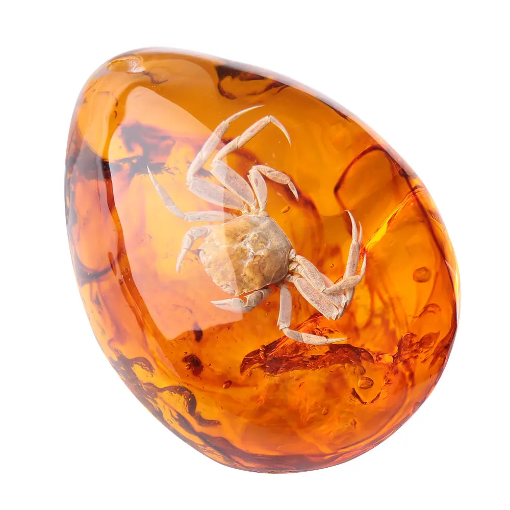Смола 5 цветов насекомые Янтарное украшение с подвеской ремесла Мода оригинальность подарок украшение колье драгоценный камень для одежды - Цвет: Crab