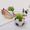 Garden Supplies