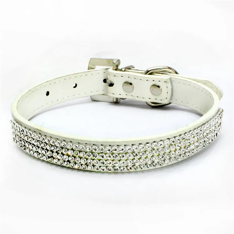collar dog (4)