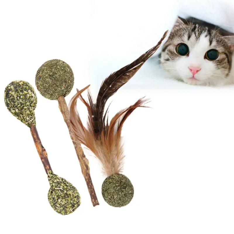 

4 Style Cat Cleaning Teeth Pure Natural Catnip Pet Cat Molar Toothpaste Stick Actinidia Fruit Cat Snacks Sticks