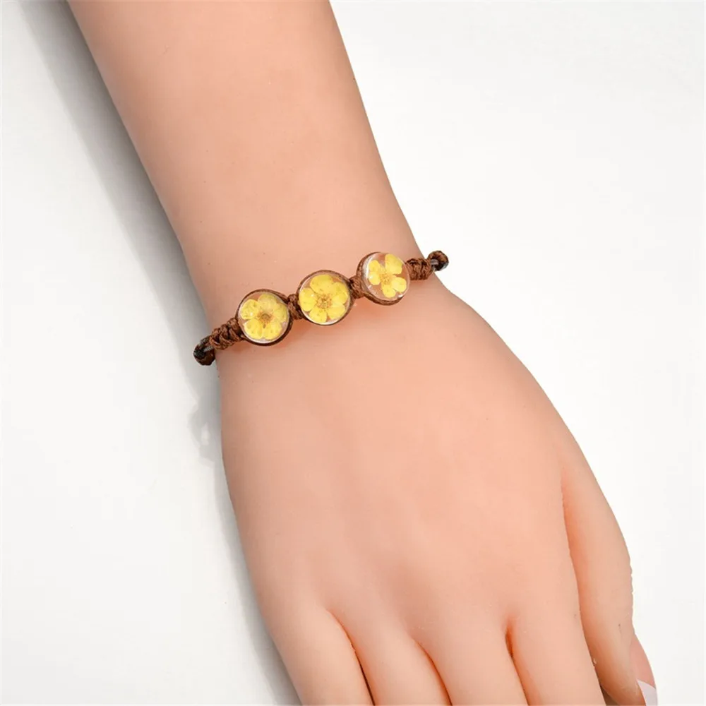 8835509836_1208020529