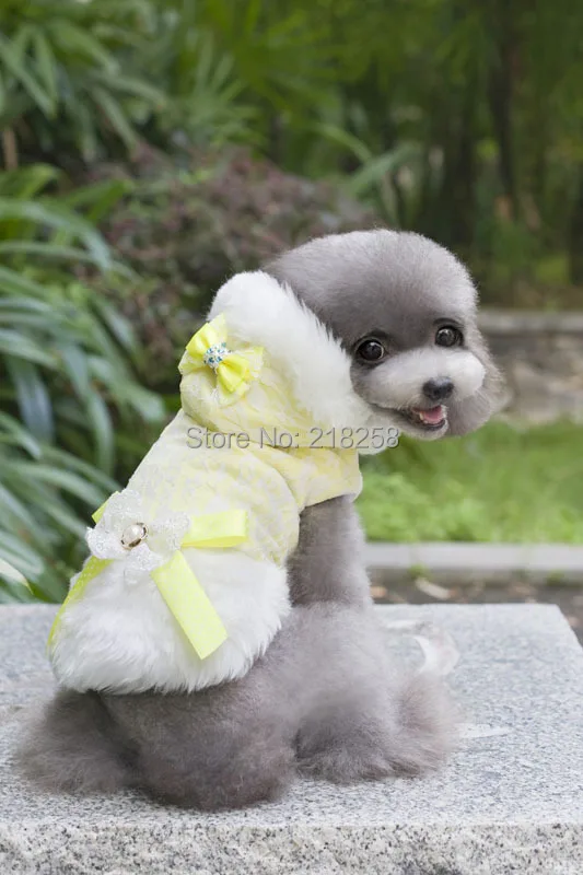 

New Cute England Lace Girl Style Hoodied Pet Dogs Coat Free Shipping By China Post Dogs clothes 2014 New Dogs Clothing