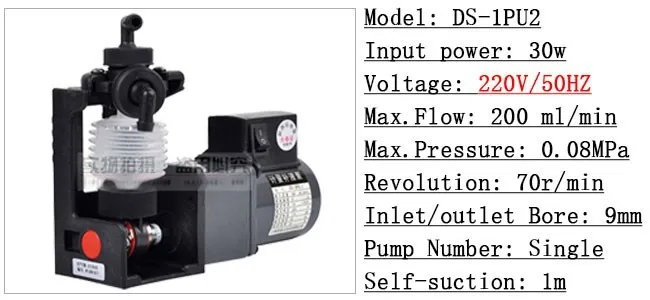DS-1P