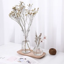 Ваза с гидропонными растениями простая креативная стеклянная ваза Декор для дома, настольный, прозрачная ваза для цветов