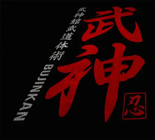 Японский Shinobi Ninja Bujinkan Ninjutsu Budo Taijutsu Dragon Symbol, новинка, Хлопковая мужская одежда, футболки с рисунками