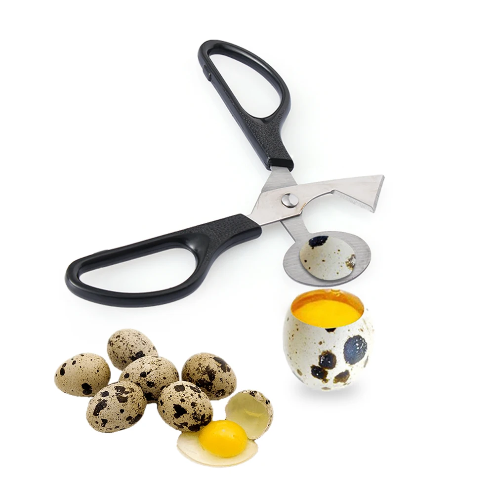 

1PC Colorful Stainless Steel Quail Egg Shells Scissors Bird Cutter Opener Egg Slicers Cigar Cutter Kitchen Tool