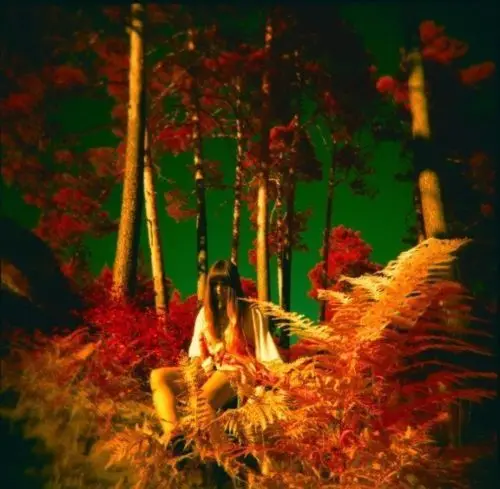 Holga 120 GCFN/GCFN с среднего формата пленочная камера фиолетовый Lomo Новый|Плёночные и