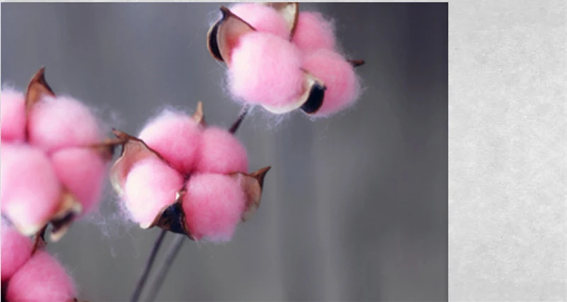 JAROWN Artificial Colorful Cotton Flower Branch Home Furnishings Flower Arrangement Art Wedding Decor Cotton Dried Flowers (8)