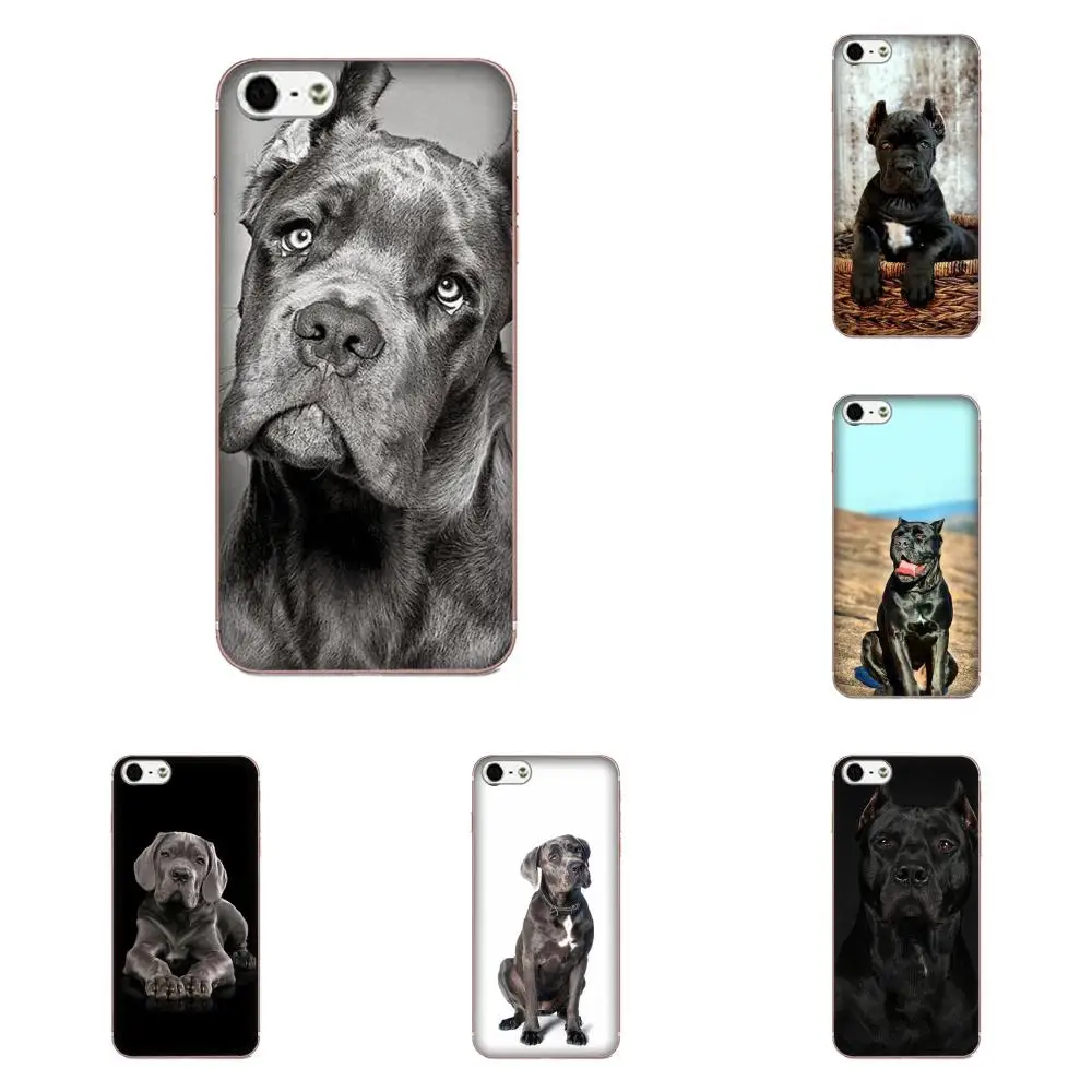 

For Samsung Galaxy Note 5 8 9 S3 S4 S5 S6 S7 S8 S9 S10 mini Edge Plus Lite TPU Art Print Italian Dogs Cane Corso Italian Mastiff