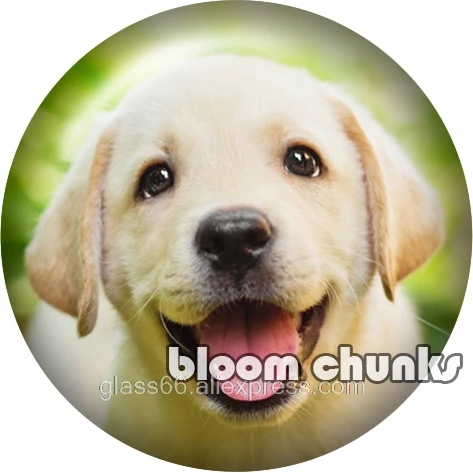 Животное счастливый собака круглый стеклянный кабошон demo плоская задняя делая Результаты 12 мм/18 мм/20 мм/25 мм TL1056 - Цвет: A8606
