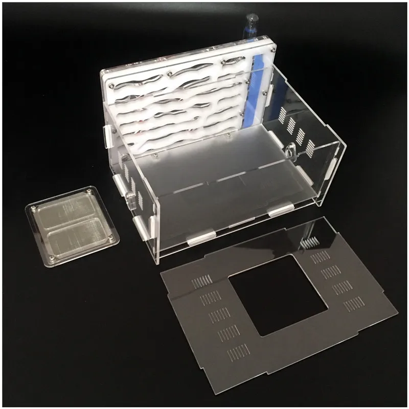 ant-castle-size (3)