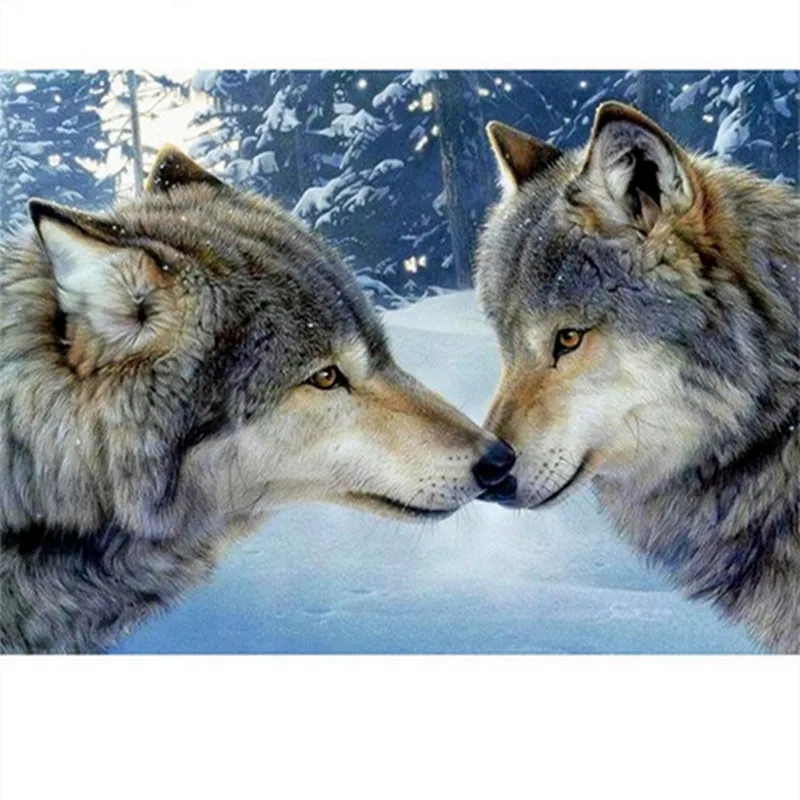 Любовь волков. Любовь волков. Любовь волков. Волки пара на всю жизнь. Волки пара.