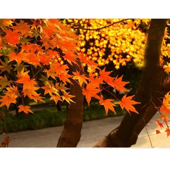 

12pcs Artificial Ivy Autumn Maple Leaf Leaves Branches Plants Vine Foliage Flower Home Garden Decoration