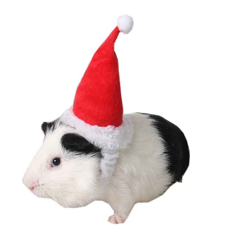 Christmas Pet Cat Hats Caps Adjustable Elastic Band Rabbit Guinea Pig Totoro Puppy Dog Head Supplies Party Decoration #F#40NV14 (22)