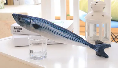 4109799249_16962710.400x400