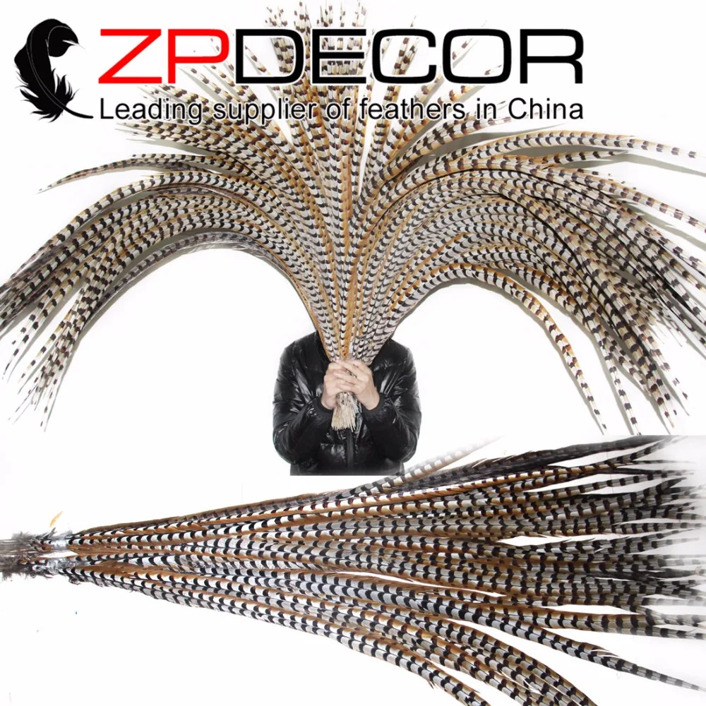

ZPDECOR 10 pieces/lot 140-150cm(56-60inch) Smooth and Soft Natural Reeves Venery Pheasant Super Long Tail Feathers Fashion Show