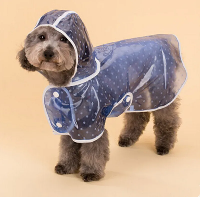 Милый дизайн в горошек, одежда для домашних животных, розовый, синий, s, m, l, для домашних животных, для собак, дождевик, пальто для маленькой собаки, непромокаемый плащ для собаки, водонепроницаемый