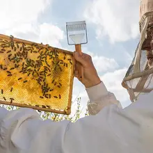 2 шт вилка для распечатывания медовых сот скребок нож Скребок Лопата Пчеловодство деревянная ручка инструмента