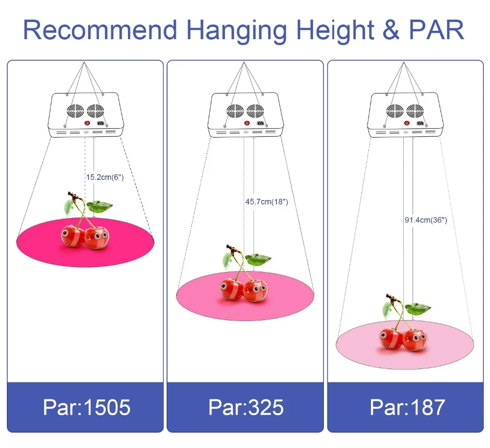5.PAR