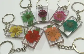 

FREE SHIPPING 7 pcs real dried flower specimen lucid square keychain