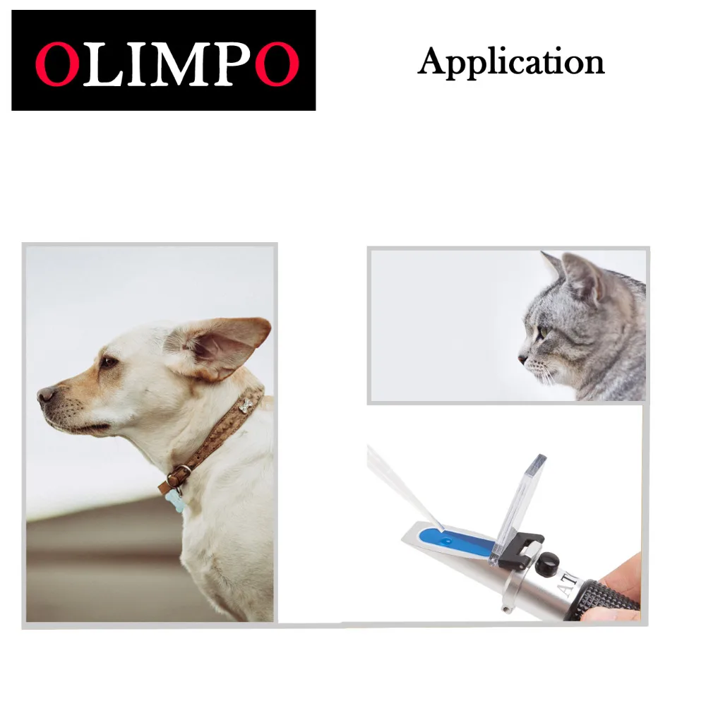 pet medicine