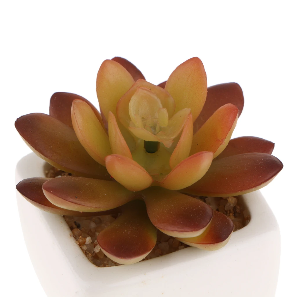 4-set Artificial Green Succulent Plants in White Round Plastic Vases Dsiplay Tray for Table, Desk, Shelf, Window