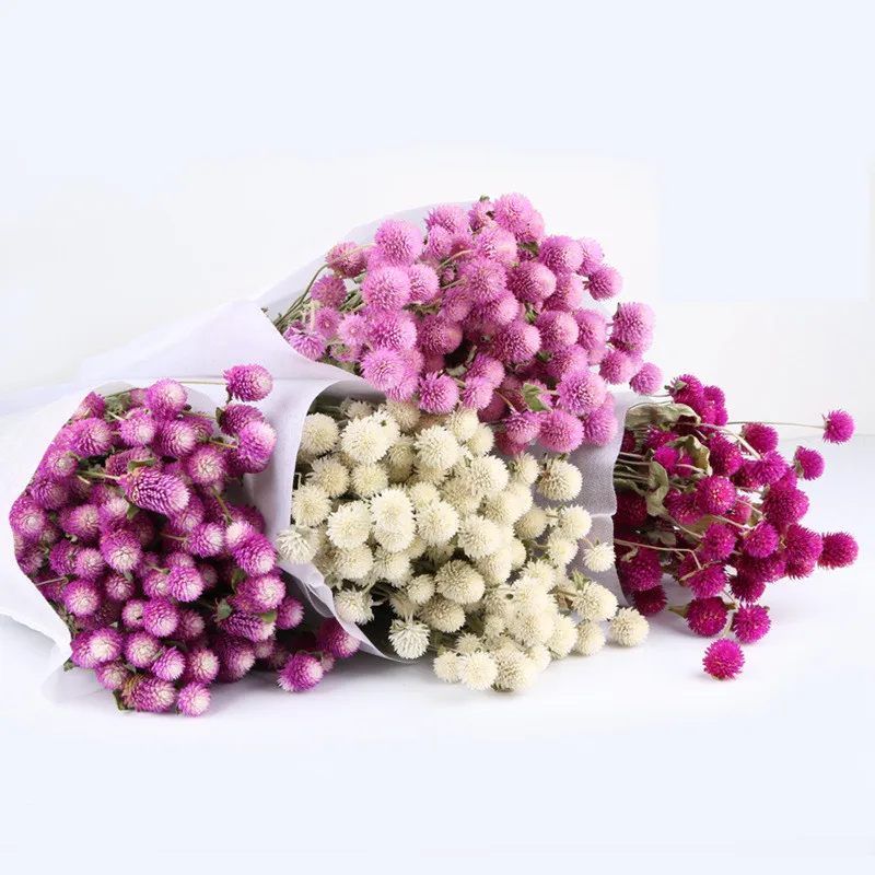 

Preserved Fresh Dried Red Flower Branch For Wedding Home Party Holiday Decorate DIY Bouquet Project Accessory SAD69