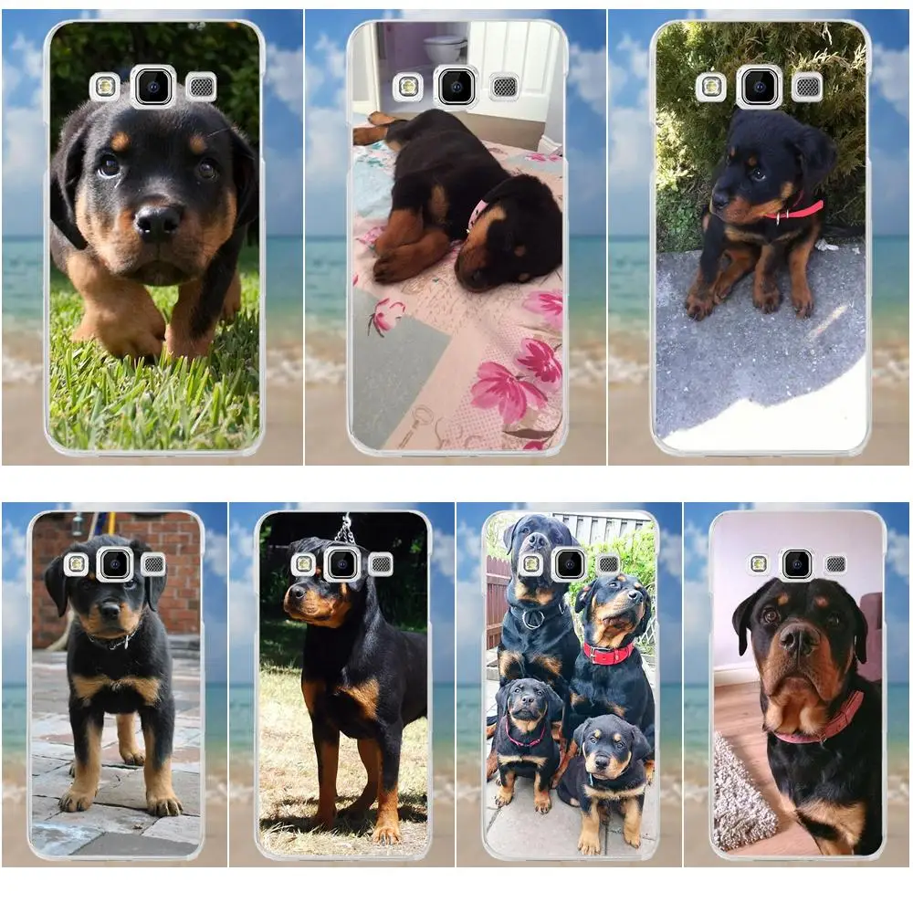 

Kmuysl For Samsung Galaxy A3 A5 A7 J1 J2 J3 J5 J7 2015 2016 2017 TPU Fashion Cell Case Rottweiler Dog Puppy