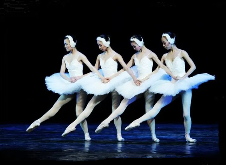 2801953304_1767878387