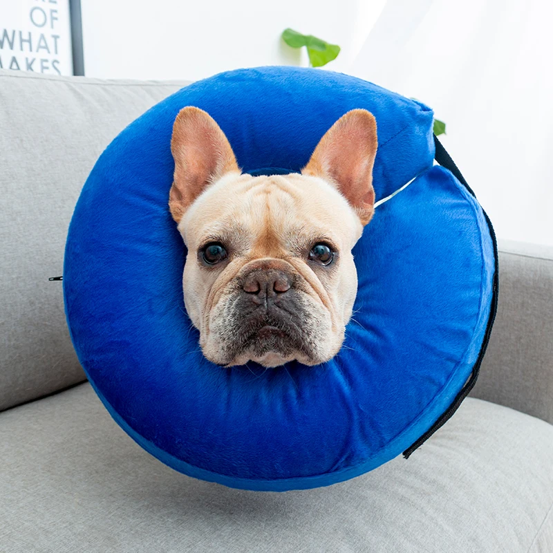 

Inflatable pet collar Cat Dog Recovery Wound Healing Protective Collar Anti-bite E-Collar Swimming Puppy Protector Swimwear