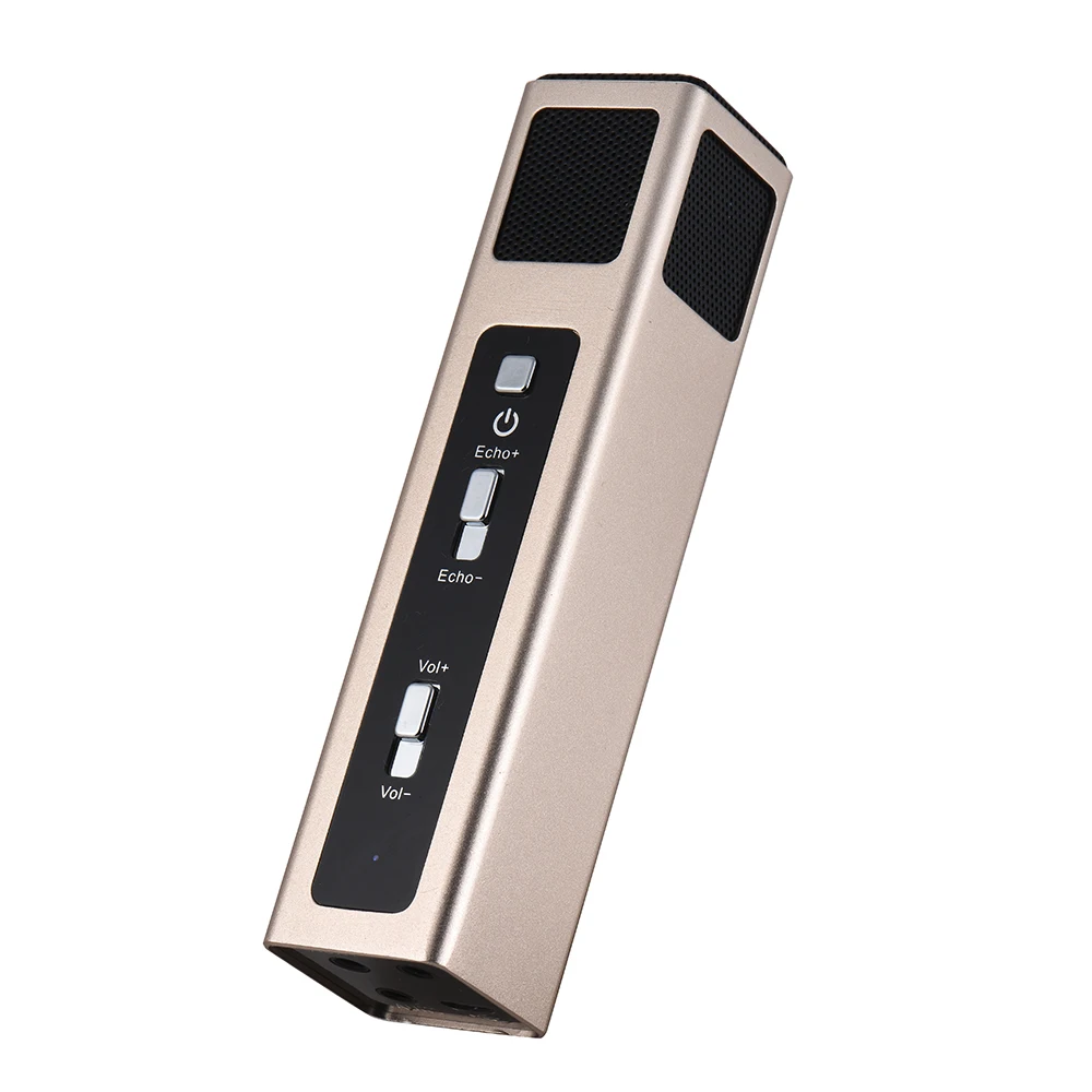 microphone with echo effect microphone with echo effect