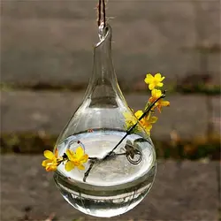 DIY Декор прозрачной микро пейзаж DIY бутылки подсвечник стены дома висит Стекло шар ваза multi Применение Цветок гидропоники ваза