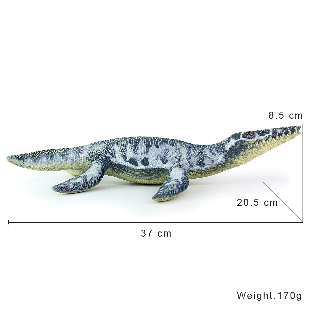 Jurassic Dinosaur Toy Model Liopleurodon PVC Soft Simulation Animal Model of Children's Birthday Gift