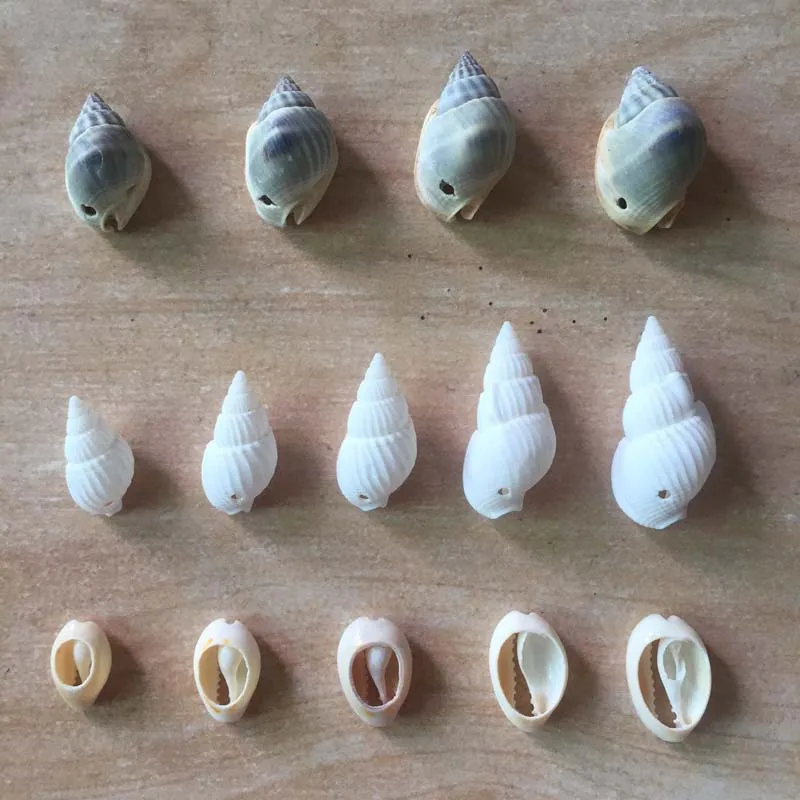 

60pcs Mix Different Shape And Size Spiral Shell Beads for DIY Jewelry Making Dyed Cowrie Shells Seashell