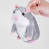 Electronic Toys