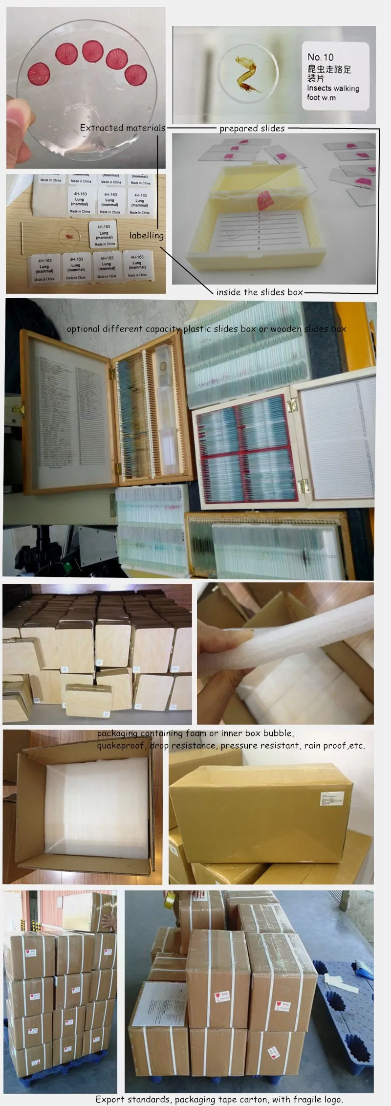 prepared slides pack