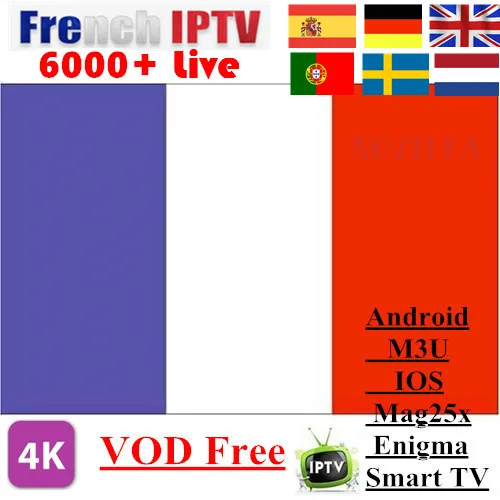 

French IPTV Belgium IPTV Subscription Arabic IPTV Dutch Swedish German IPTV Support Android m3u enigma2 6000+Live and Vod