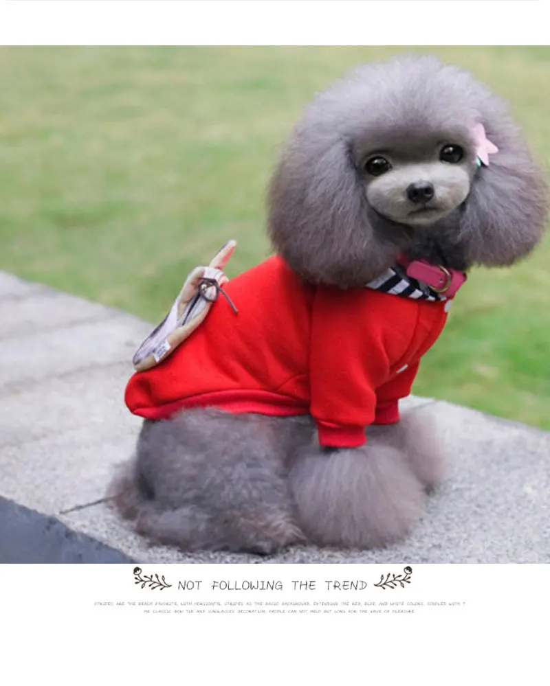 winter clothing for chihuahua