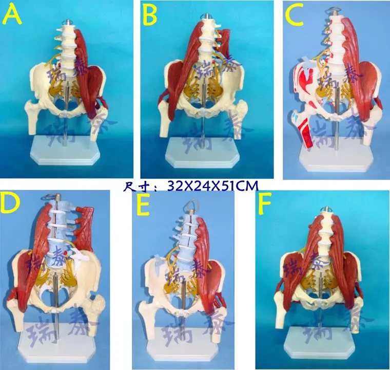 TB29SsIiVXXXXbvXXXXXXXXXXXX_!!1589213735