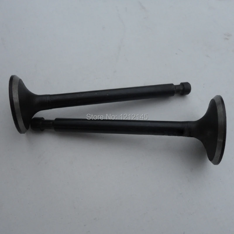 

EF6600 Generator Intake and Exhaust Valve, MZ360 Engine Intake and Exhaust Valve